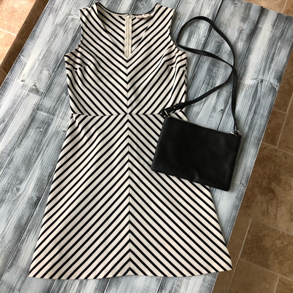 Anne Taylor Loft Dress